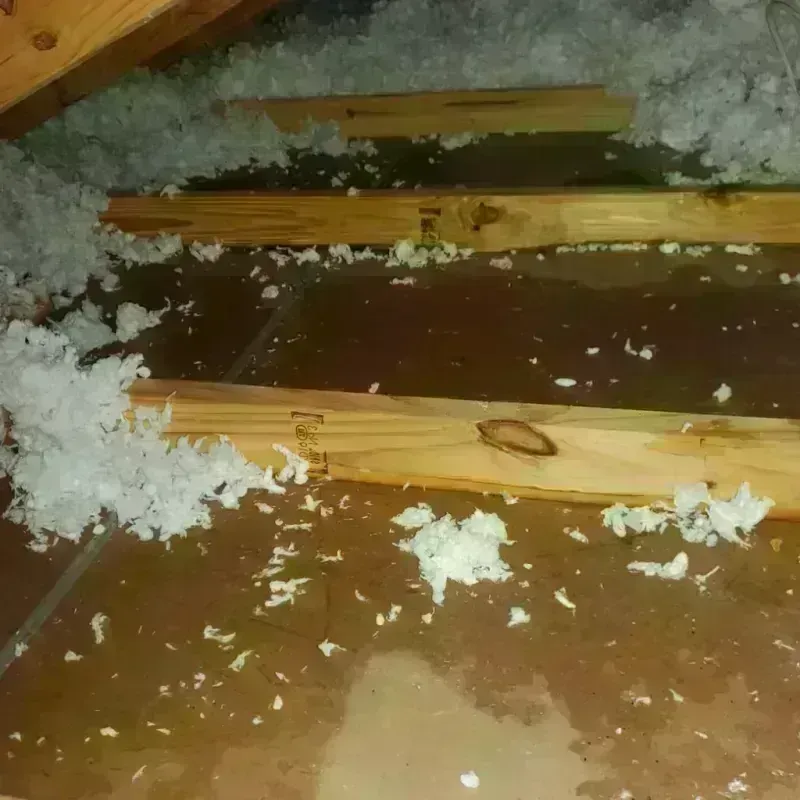 Attic Water Damage in Reedsburg, WI